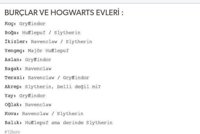 Burcuna göre hangi hogwarts binasındasın?