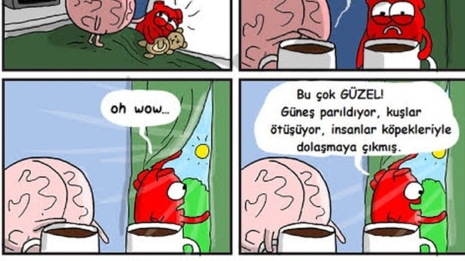 Bu sabah güne nasıl başladın?