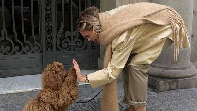 Köpekten en iyi arkadaş olur mu?