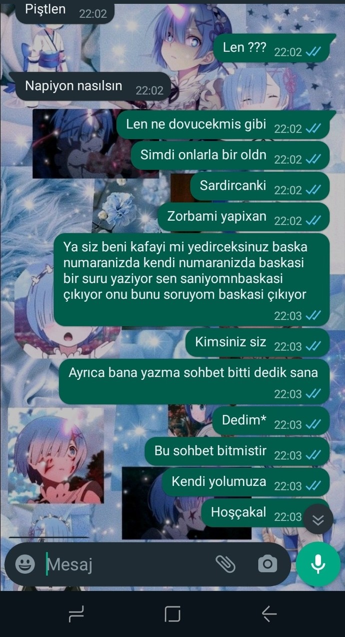 Bu sizce hangi burç?