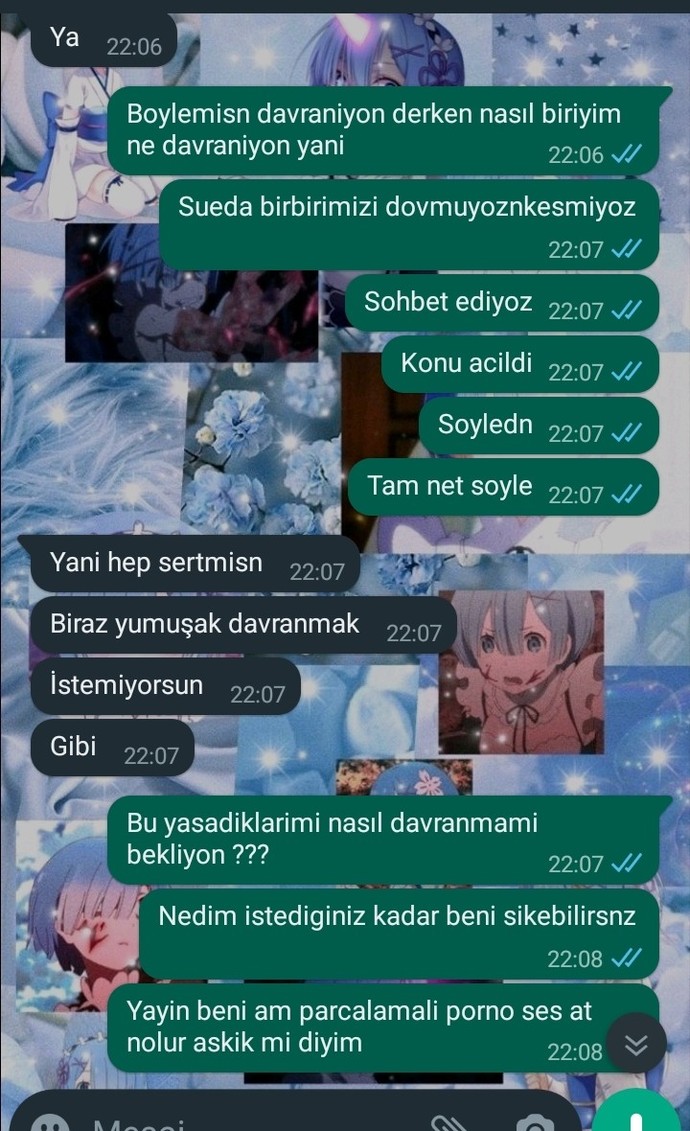 Bu sizce hangi burç?