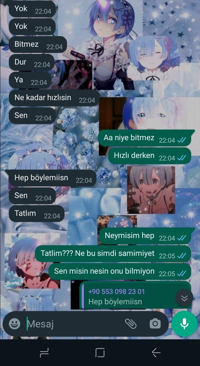 Bu sizce hangi burç?
