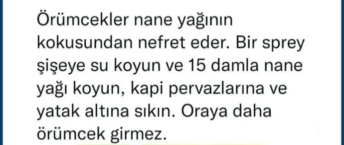 Hayatınızda keşke bunu daha önce bilseydim dediğiniz bir bilgi var mı?