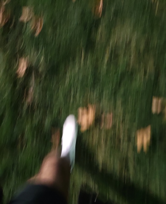 🍁🍂