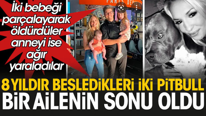 Amerika'da Pitbull dehşeti! 8 yıldır besledikleri 2 Pitbull ailenin iki bebeğini parçalayarak öldürdü! Sizce Pitbull vahşi mi?