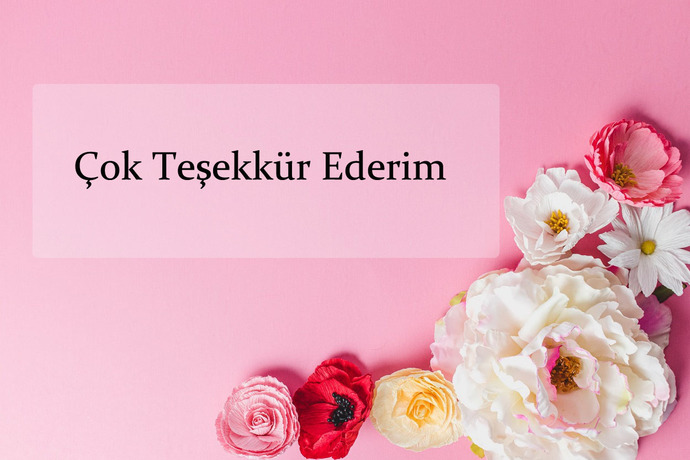 En son nereye gittiniz?