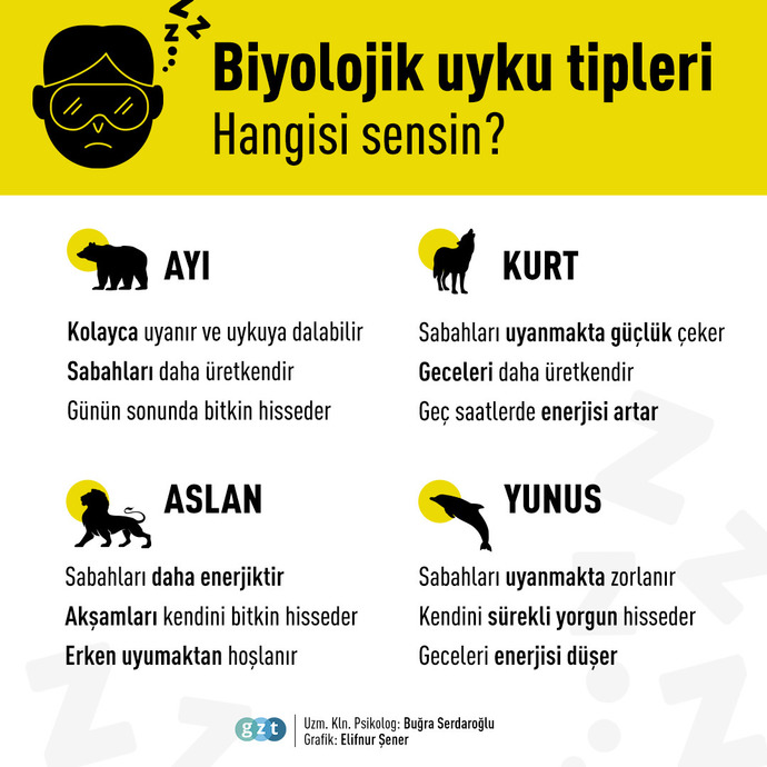 Uyku tipine göre sen hangisisin? Ayı mı, kurt mu, aslan mı yunus mu?