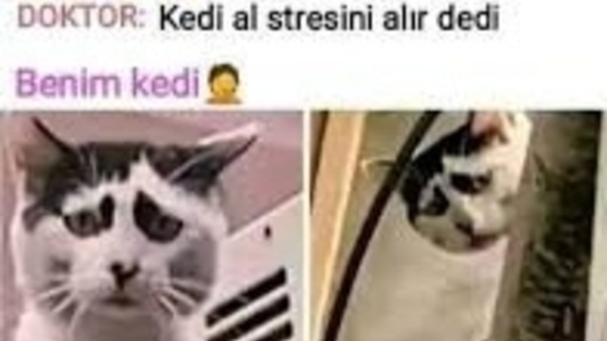 Stresli olduğunuz zamanlarda, size neler iyi geliyor?