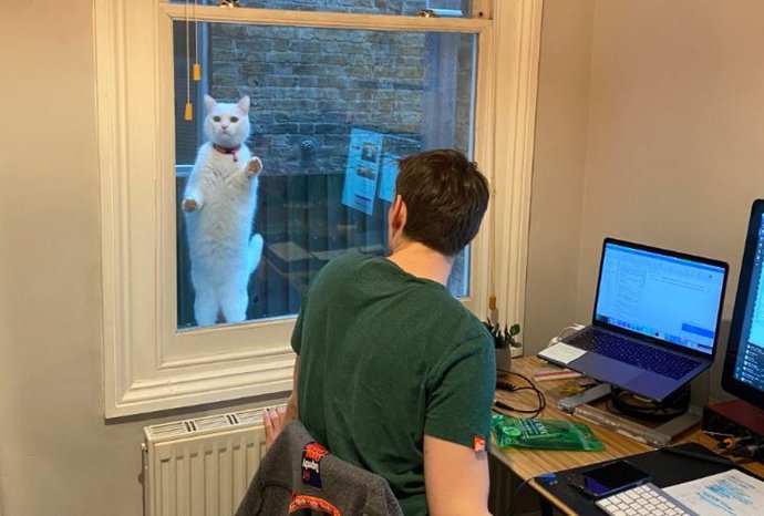Home office çalışmanın dezavantajları neler?