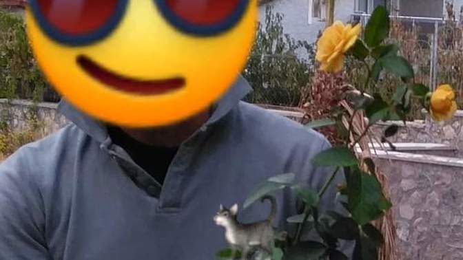 Gül i̇ster misiniz?