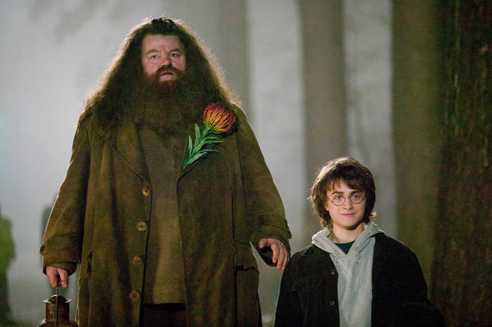Hagrid