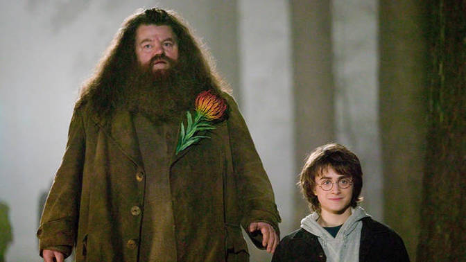 Harry Potter serisinin Hagrid'i vefat etti, Hagrid sevdiğiniz bir karakter miydi😭?