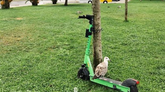 Binbin satın alıp başka şehire götürebilir miyim?
