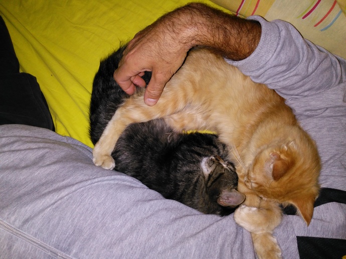 2 metre kadınla 1 metre erkek olur mu?