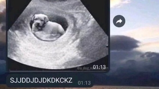 Sevgiliyle sürekli seks sohbeti edilir mi?