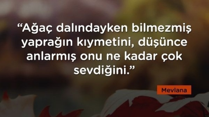 Sevdiğin kişi seni umursamasa ne yaparsın?