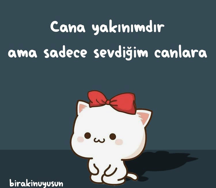 Temsili ben 😻