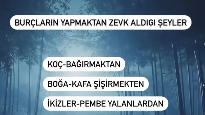 Burcuna göre en çok zevk aldığın şey nedir?