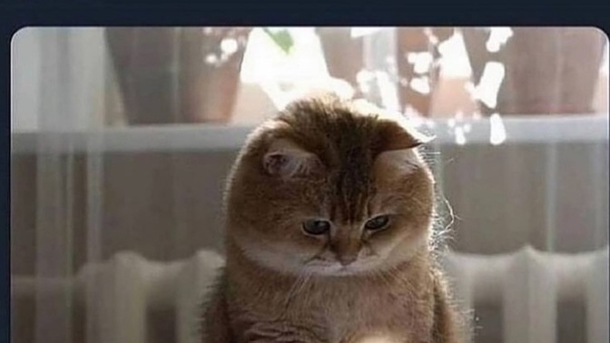 Duyunca hoşunuza giden iltifat sözleri var mı, varsa nedir 😂?