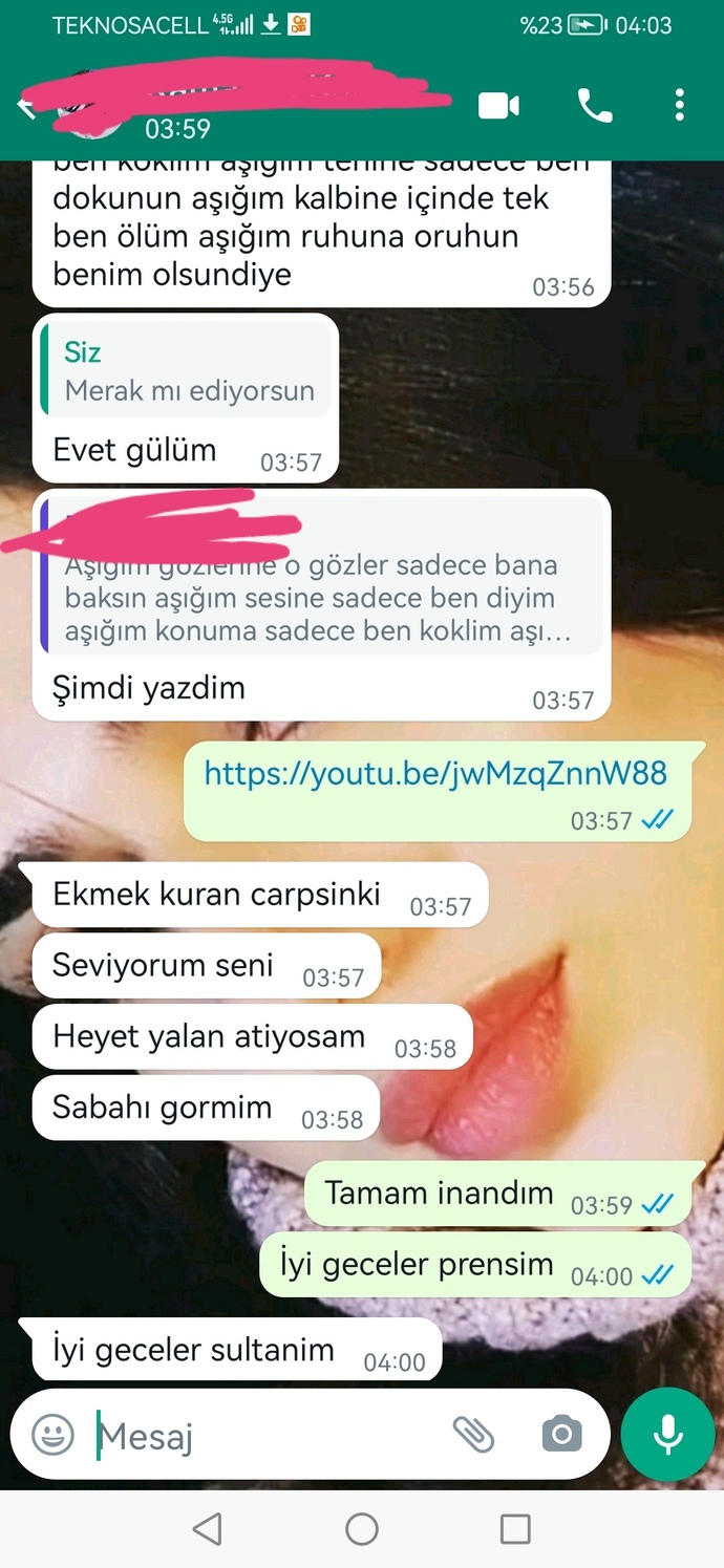 Bunları söyleyen Aslan erkeği dürüst müdür😂?