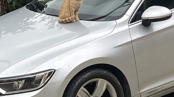 Araba’da selfie çekinmeyi adet edindiniz mi?