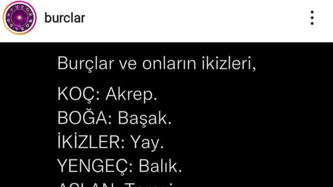 Senin ikizin hangi burç 🧜?