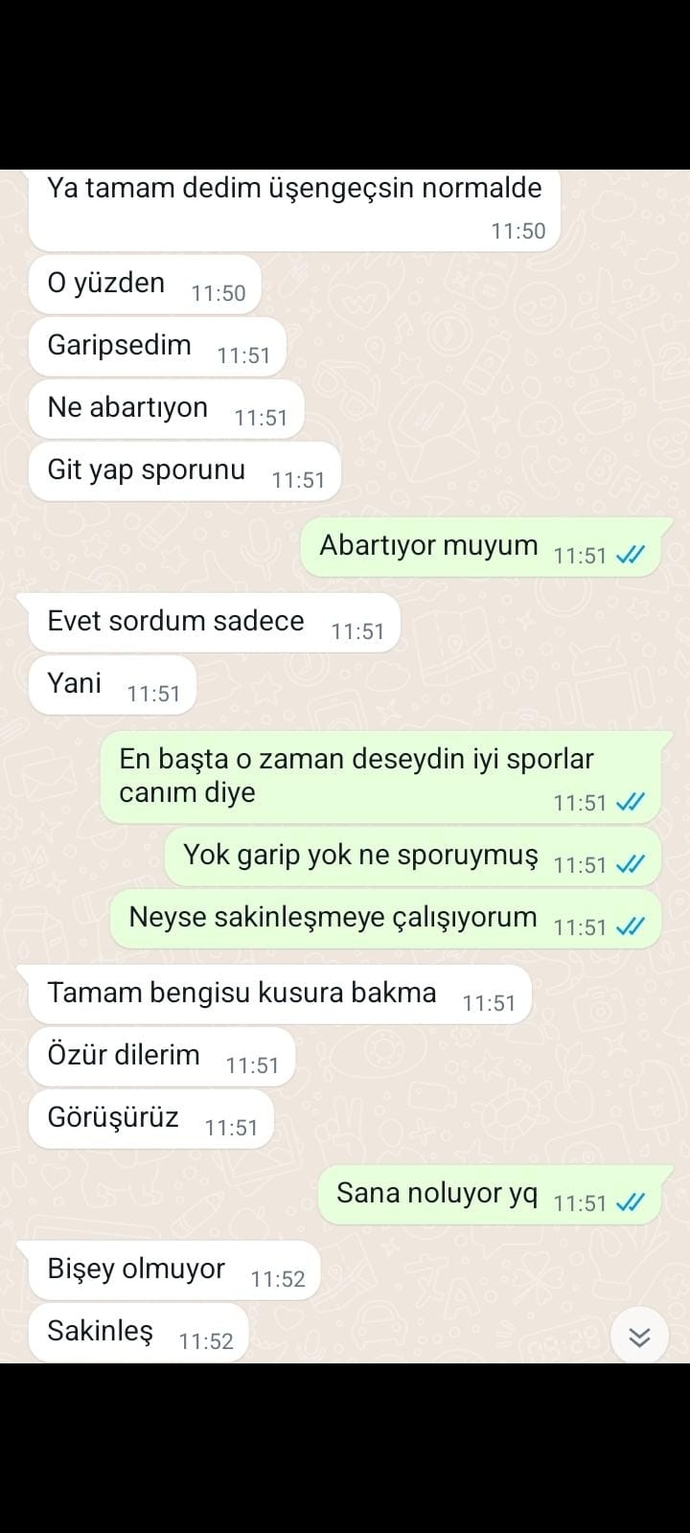 Şu mesajlara bakar mısınız normal mi yazdiklari spor salonuna geldim spor yapacak hevesim kalmadı moralim altüst oldu?