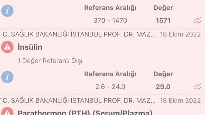 Anlayan varsa tahlil sonuçlarımı yorumlayabilir mi?