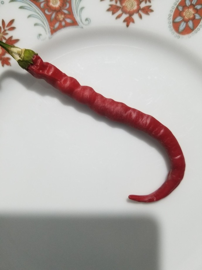 Biberlerim nasıl?