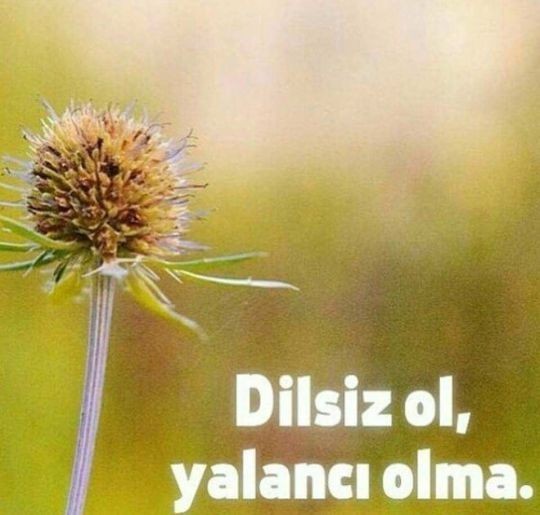 Kadın ve erkeğin ilişkide beklentisi nelerdir?
