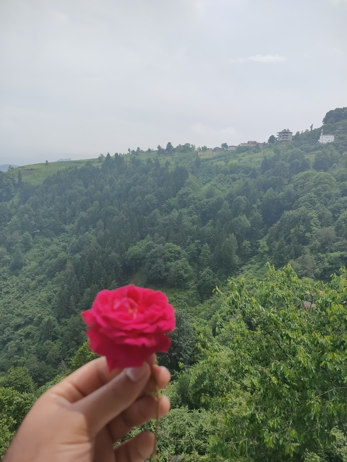 Utanacağınızı bilsem yüzünüze tükürmek isteyip istemeyeceğimi söyleyeyim mi?