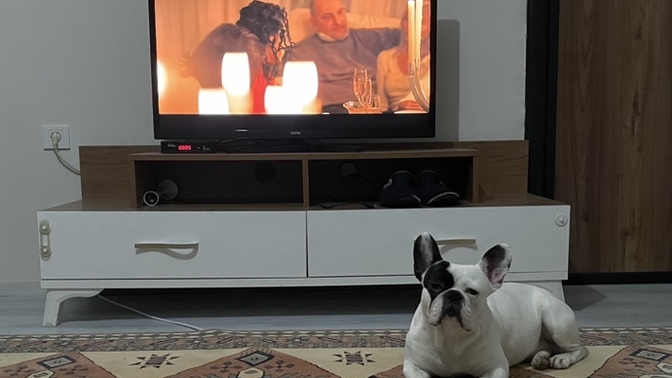 Evcil dostunuz var mı?