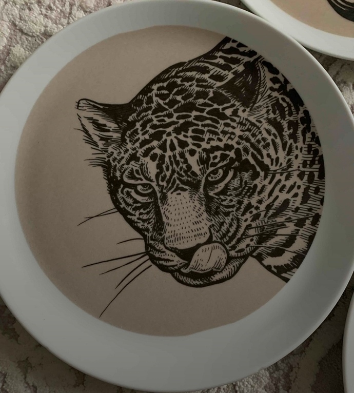 Sizce bu göz desenli tabak aşağıdaki seçeneklerden hangi tabak ile daha uyumlu olur?