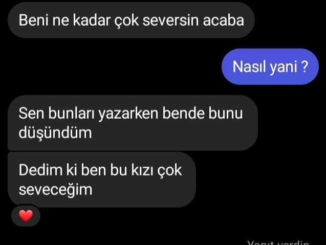 Yazışmalardan bir kısmını koydum, yeni tanıyorum. Doğru kişi mi lütfen?