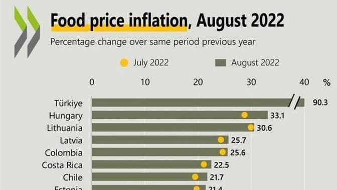 OECD ülkeleri arasında en pahalı gıda artışını yaşayan ülke olduğumuzu biliyor musunuz?
