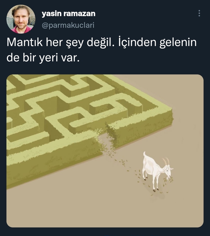 Her şeyde mantığınıza göre mi hareket edersiniz yoksa içinizden geldiği gibi mi?