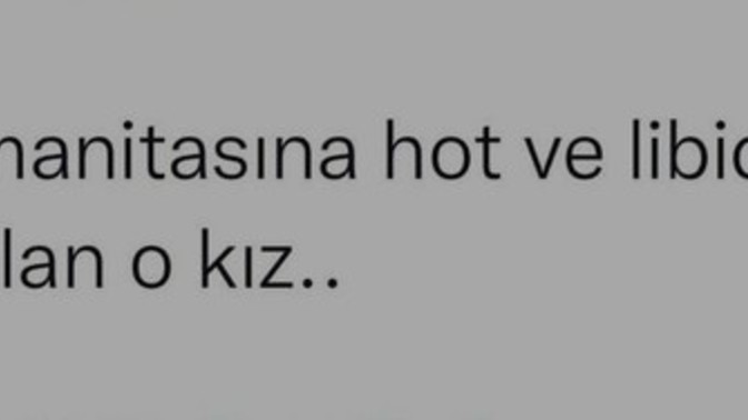 Burdaki hot ne demek arkadaşlar?