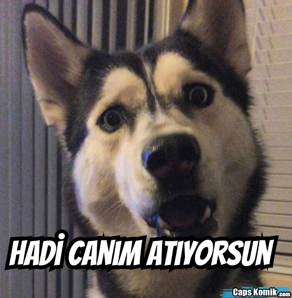 Eve girince kötü bi enerji alıyorum neden olabilir?