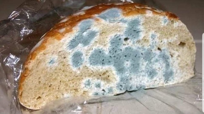 Küflü Ekmek Yenir mi? Küflenmiş Ekmek Yemenin Zararları Nelerdir?