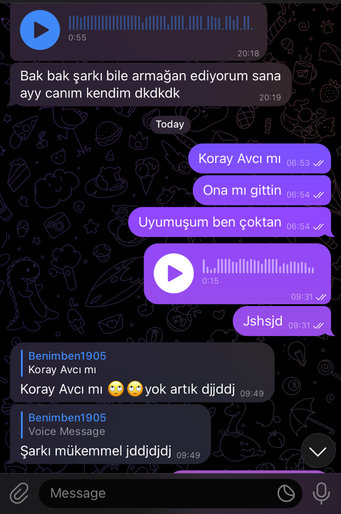 En son kime ne mesaj attınız söyler misiniz?