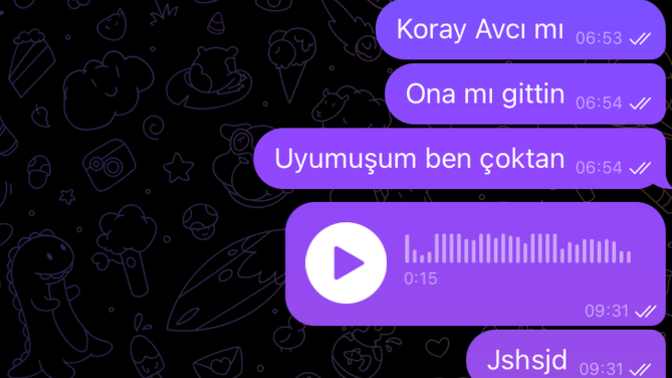 En son kime ne mesaj attınız söyler misiniz?