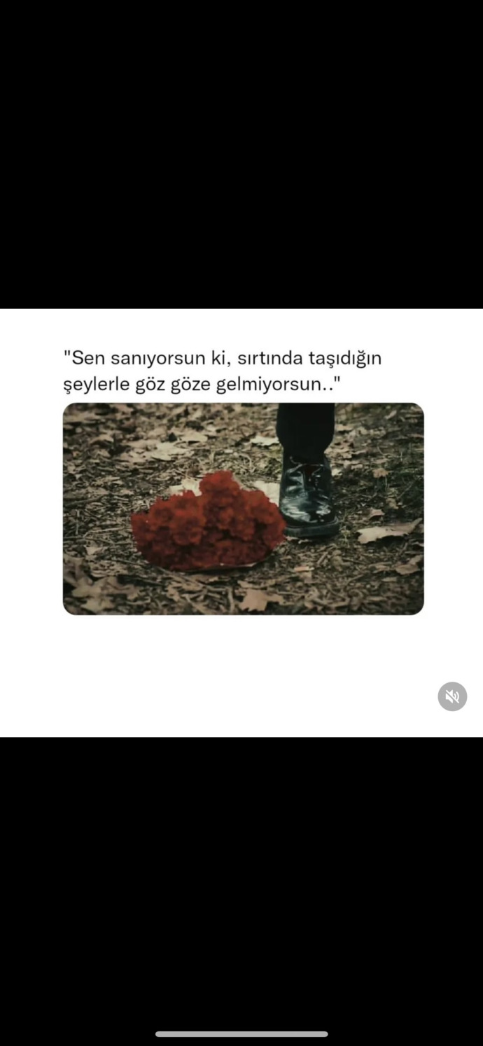 Bu cümlenin anlamını anlayan, anlata bilir mi bana da?
