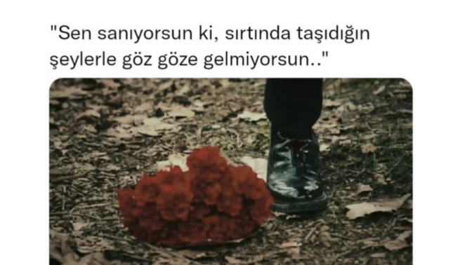 Bu cümlenin anlamını anlayan, anlata bilir mi bana da?