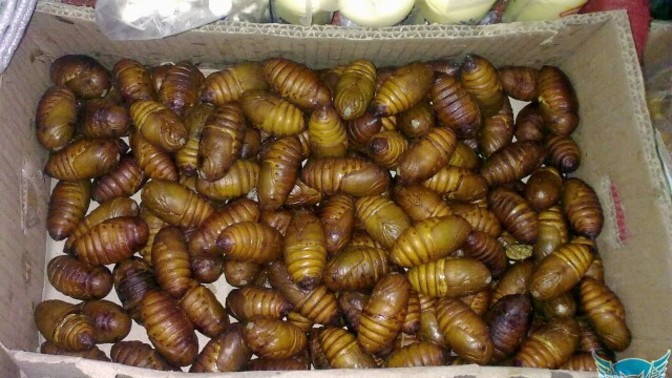 Bir yemek olsaydınız ne olurdunuz?
