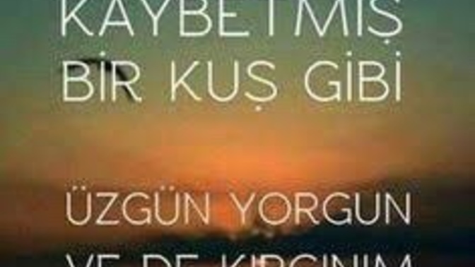 Kime ya da  neye kırgınsınız?