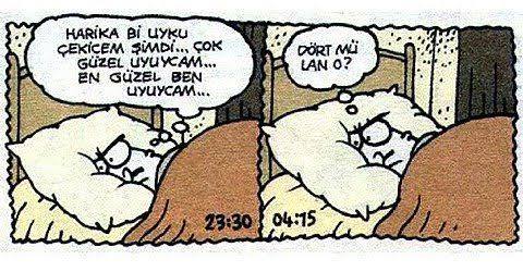 Neden Hala Uyanıksınız Ve Sizi Bu Saatte Uyanık Tutan Şey Nedir?