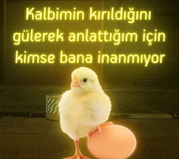Kırıldığınızda tepkiniz ne olur?