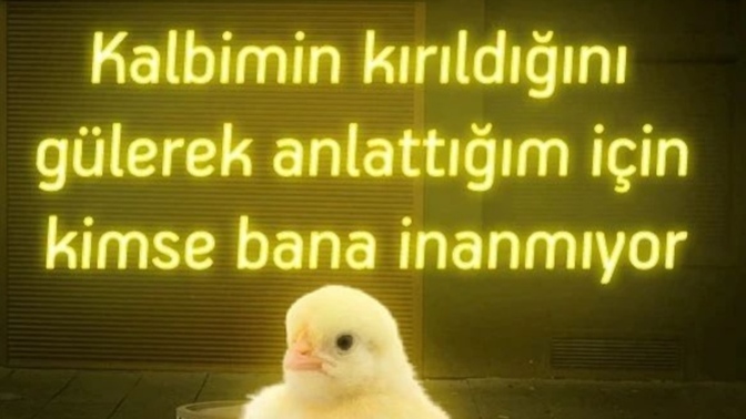 Kırıldığınızda tepkiniz ne olur?