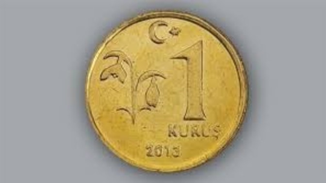 Sizce bu parayla ne yapabilirim?