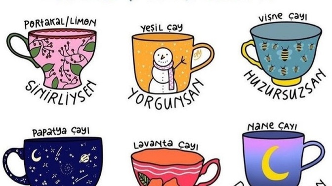 Sizin hangi bitki çayına ihtiyacınız var..🤔?